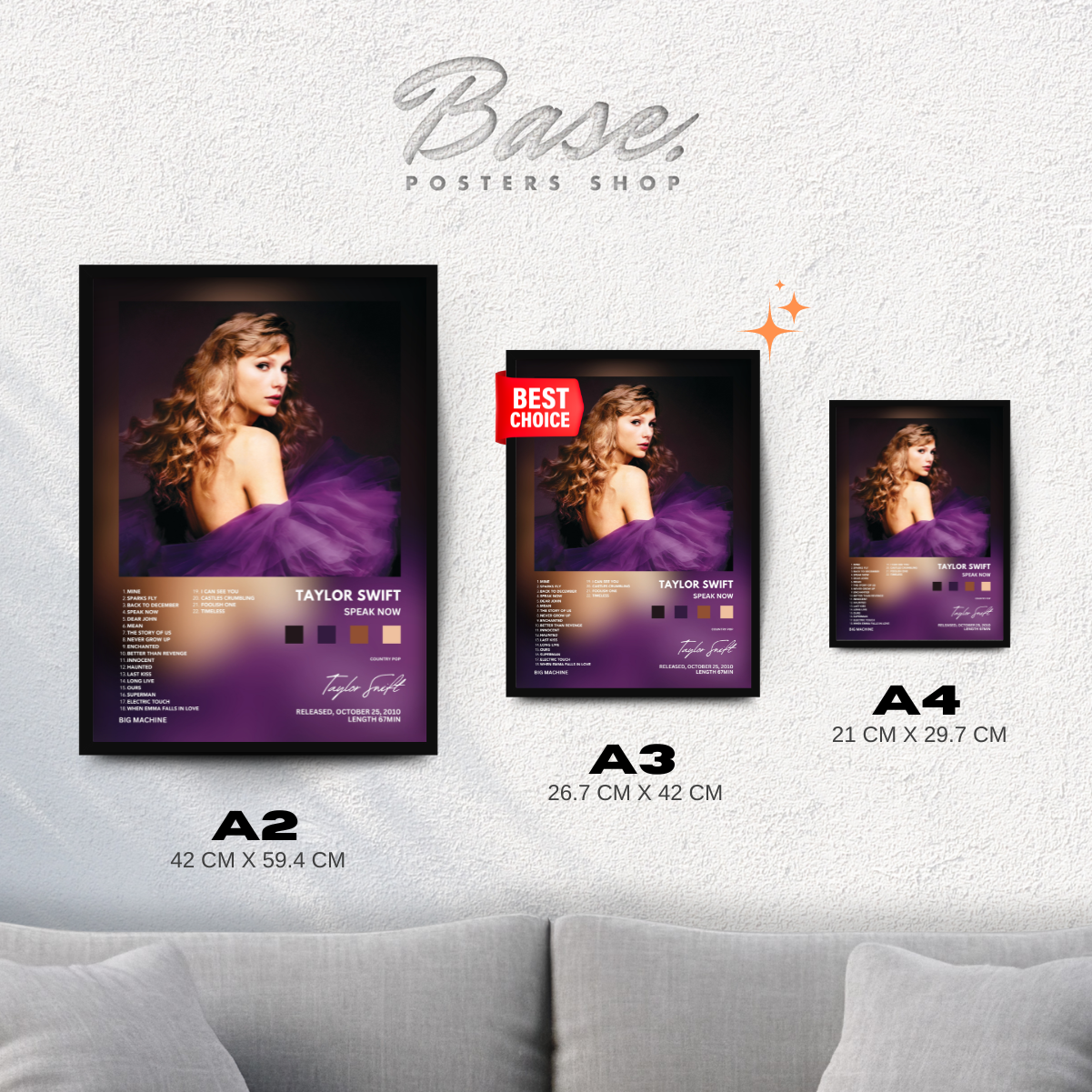 Taylor Swift 'Speak Now'