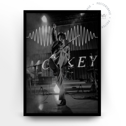 Arctic Monkeys Concert