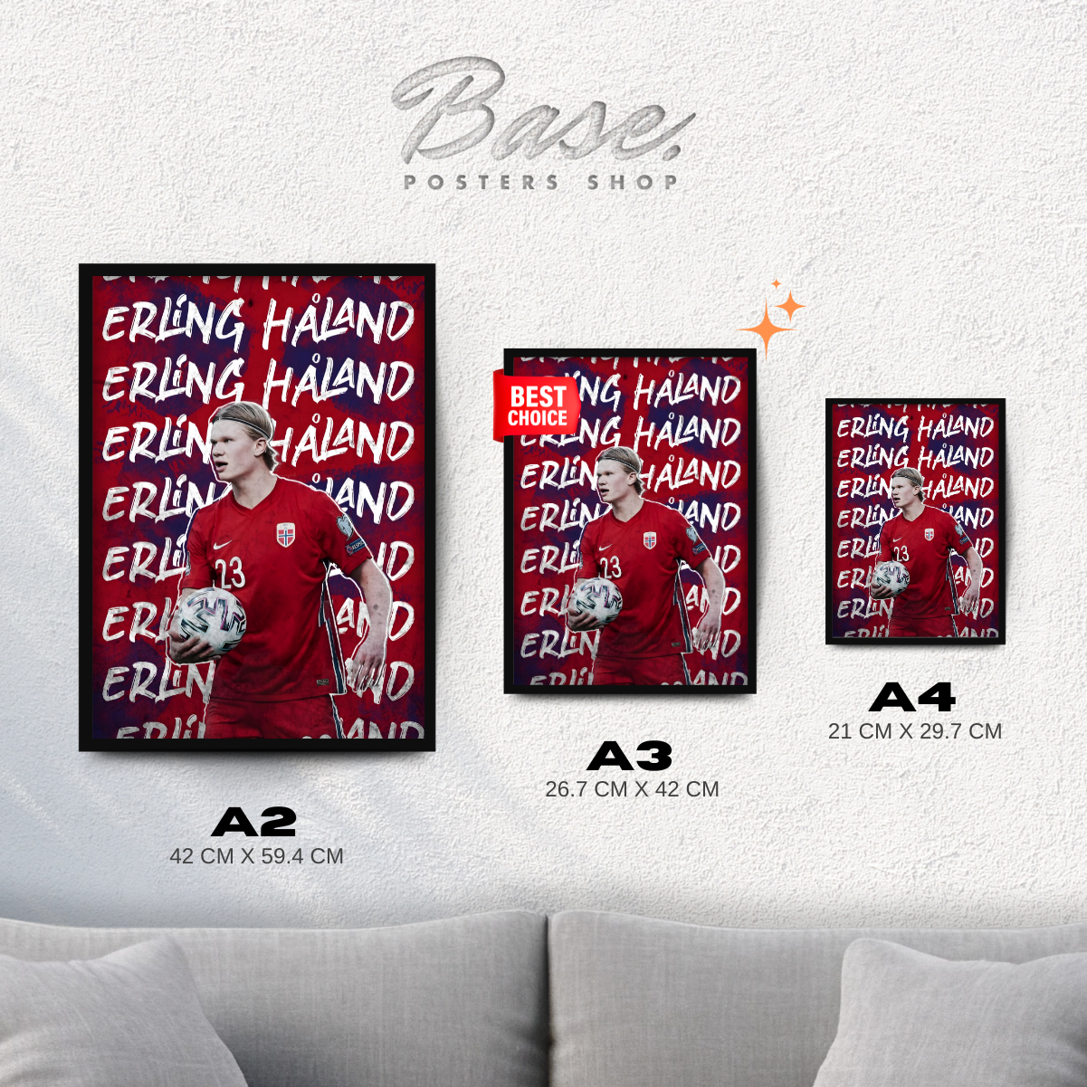 Erling Haaland Norway