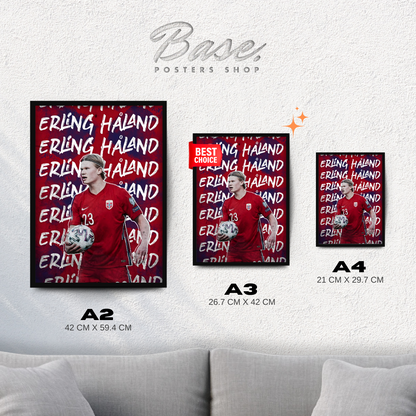 Erling Haaland Norway